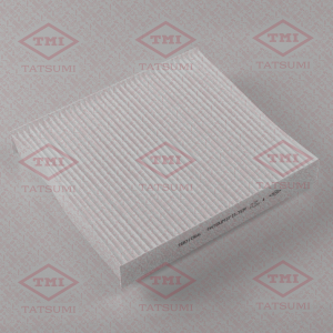 TATSUMI TBD1066