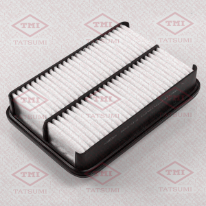 TATSUMI TBC1167