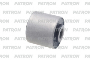 PATRON PSE11724