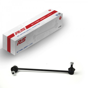 RS RECORD RS10041000