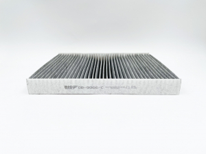 BIG FILTER GB9966C