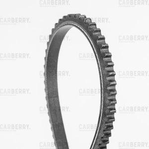 CARBERRY 10X750