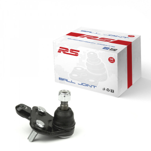 RS RECORD RS10059190