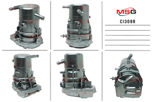 MSG CI309R