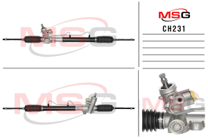 MSG CH231