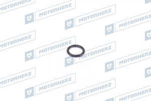 MOTORHERZ HR0398