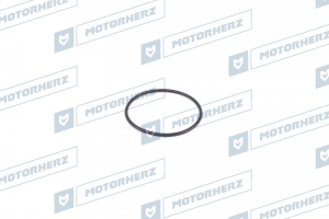 MOTORHERZ HR0266
