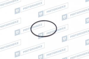 MOTORHERZ HR0046