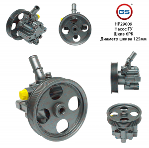GS HP29009