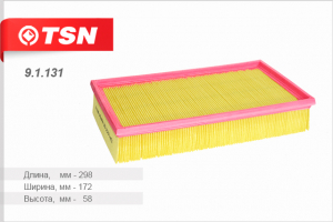 TSN 91131