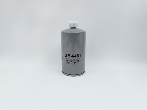 BIG FILTER GB6481