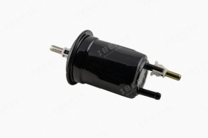 IBERIS IB773024