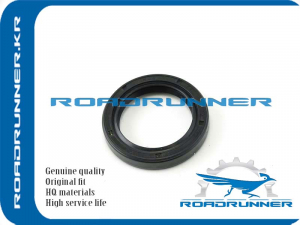 ROADRUNNER RR9031129001