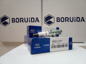 BORUIDA BOR1882311101