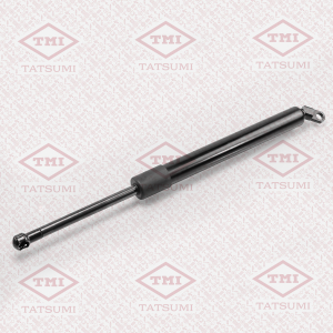TATSUMI TAF1011