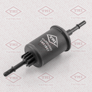 TATSUMI TBE1007