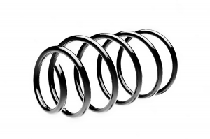 STANDARD SPRINGS ST110119F