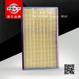 FREY D03119001