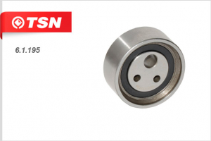 TSN 61195
