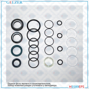 GELZER H5589EPS