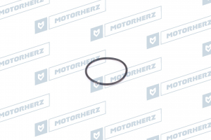 MOTORHERZ HR0259
