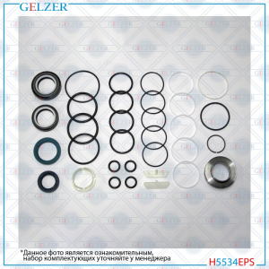 GELZER H5534EPS