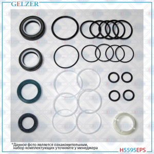 GELZER H5595EPS