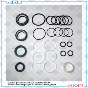 GELZER H5592EPS