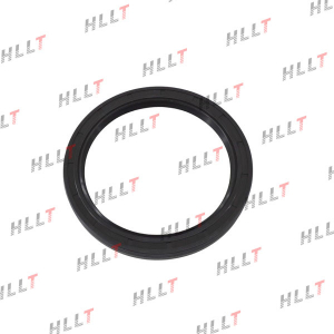 HLLT HLCL0303