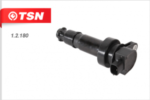 TSN 12180