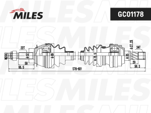 MILES GC01178