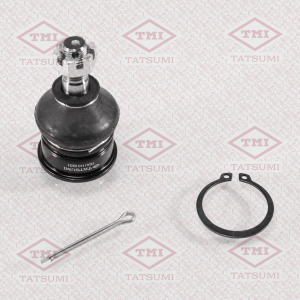 TATSUMI TEA1143