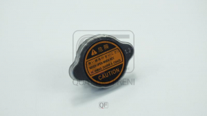 QUATTRO FRENI QF55A00031