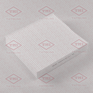 TATSUMI TBD1009