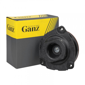 GANZ GIK02531