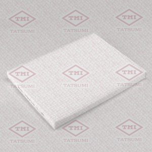 TATSUMI TBD1031