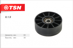 TSN 619