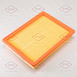 TATSUMI TBC1033