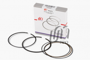 UNITED MOTORS 17PR0799000