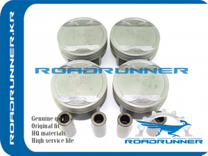 ROADRUNNER RR234102G000