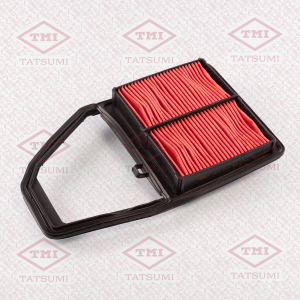 TATSUMI TBC1149