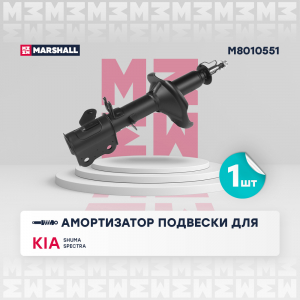 MARSHALL M8010551