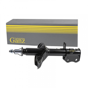 GANZ GIK02833