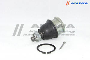 AMIWA 0513196