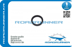 ROADRUNNER RR9031132016