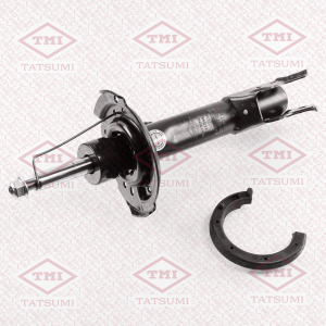 TATSUMI TAA1096