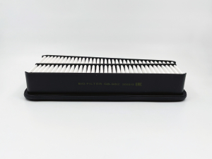 BIG FILTER GB982