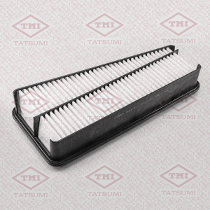 TATSUMI TBC1062
