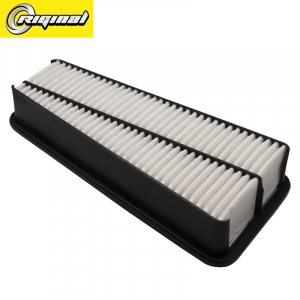 RIGINAL RG178010P010