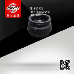 FREY 650500401